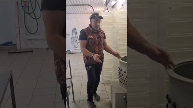Модернизация цеха убоя Перепелов. Краснодарский край. смотреть онлайн