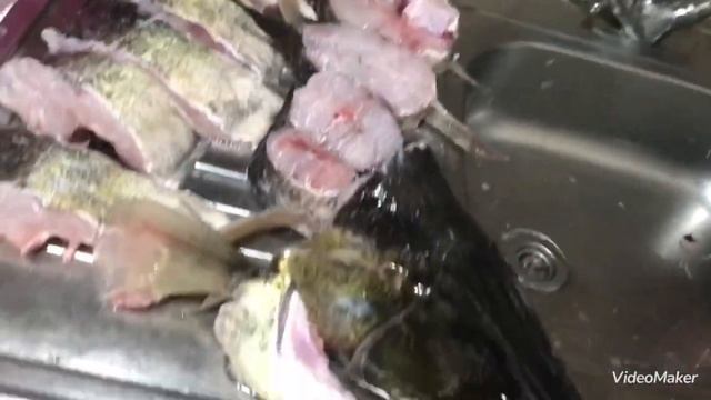 Огромная рыба на моём столе, жерех и судаки, питаемся правильно смотреть онлайн