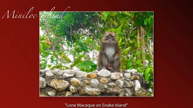 Paradise called El Nido смотреть онлайн