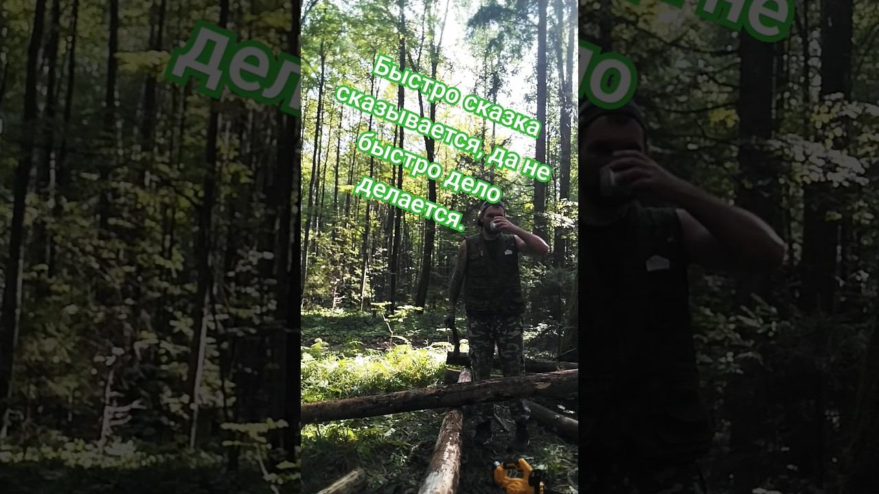 На лыжне всегда есть работа! #лыжнаямедиалига #лес #лыжня #сруб #природа #строительство #плотник смотреть онлайн