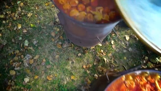 Szármafesztivál 2018 (Topolya) ~ Sarmijada 2018 (Bačka Topola) смотреть онлайн