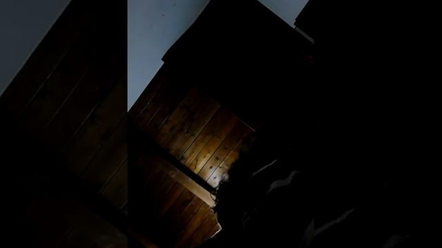 Duetto Tina Turner e David Bowie in Tonight смотреть онлайн