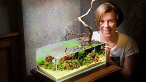 ЗАПУСК нано АКВАРИУМА 17л | АКВАСКЕЙП