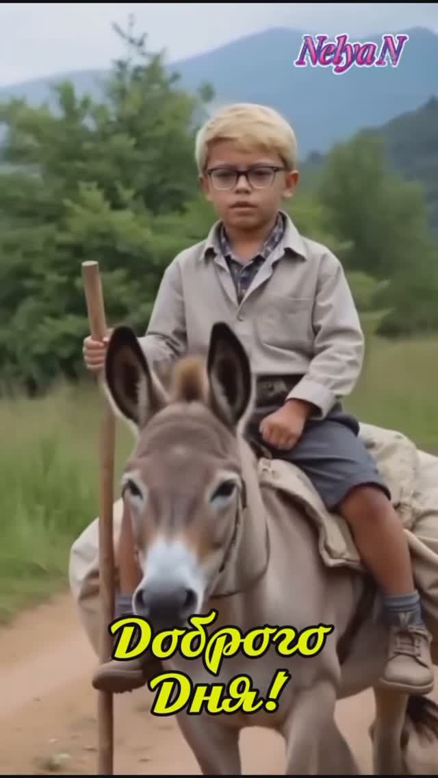 Добрый вечер. Доброе Утро. ВидеоОткрытки на каждый день смотреть онлайн