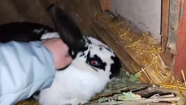 25 марта 2024 г. смотреть онлайн