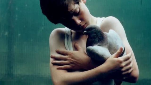 5 ДЕТЕЙ, которых воспитали ЖИВОТНЫЕ Интересные факты смотреть онлайн