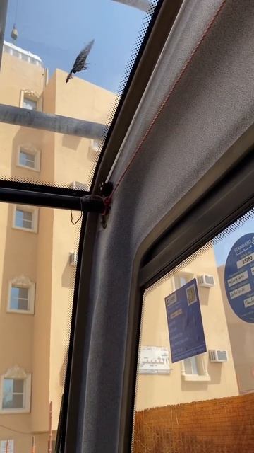 Mobile crane Sany 100 tons operation #shorts #youtubeshorts смотреть онлайн