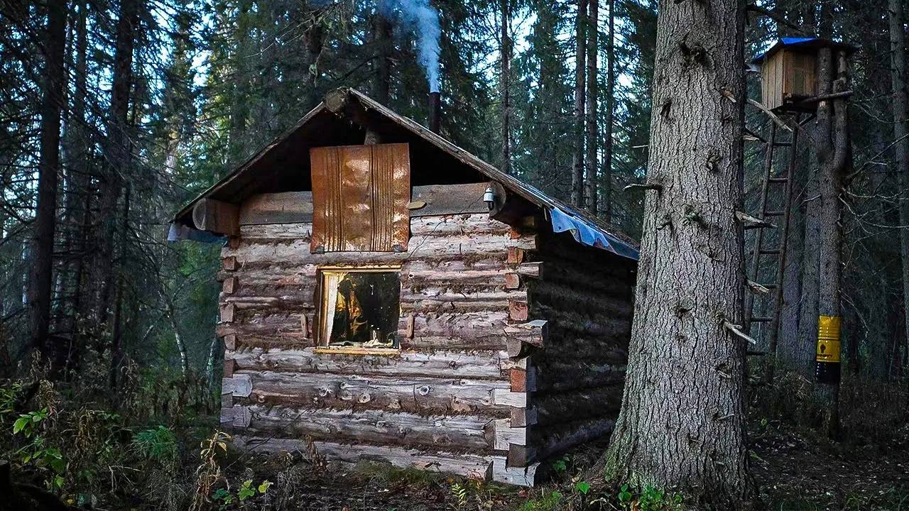 УШЁЛ НА ОХОТУ С СОБАКОЙ С НОЧЕВКОЙ В ИЗБЕ. ПЛАН ПО РЯБЧИКУ ВЫПОЛНЕН. смотреть онлайн