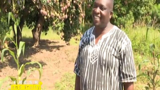 20 plus years in mango farming and he still smiles to the bank - Part 1 смотреть онлайн