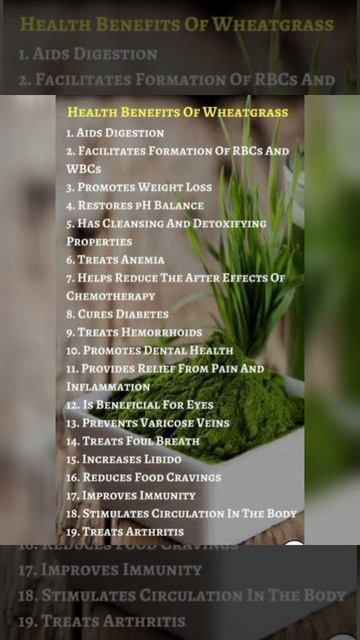 BENIFITS OF WHEAT GRASS 🌾FOR HEALTH, SKIN & HAIR смотреть онлайн
