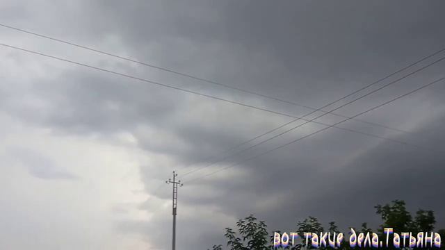 Огород, гроза и смородина. смотреть онлайн