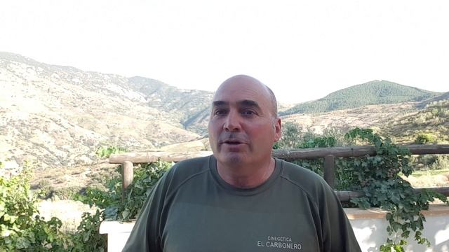 Muchas gracias a todos смотреть онлайн