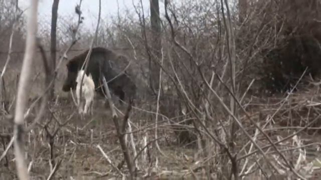 Рiдна Природа апрель 2012 смотреть онлайн