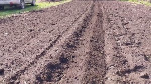 Посадка картошки под плуг