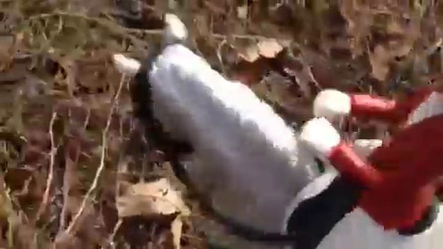 КСК Закат : соревнования по конкуру смотреть онлайн