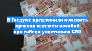 В Госдуме предложили изменить правила выплаты пособий при гибели участников СВО