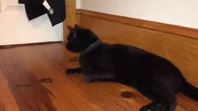 Queen Gertrude, Ophelia, and King Claudius смотреть онлайн