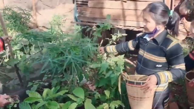 Adoh jrai plei hra | ya dun | Nhạc Dân Tộc Tây Nguyên @SIUNANPTP смотреть онлайн