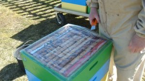 16 апреля и я ставлю первые магазины.