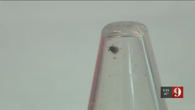 Video: UCF researchers find ways to battle Lyme disease смотреть онлайн