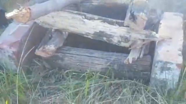Поездка на пикник на моторолере Муравей смотреть онлайн