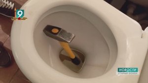 Новости Старого Оскола от 16 апреля