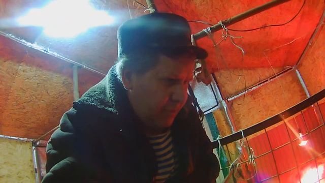 Вьетнамцы уехали на другое место-жительство. смотреть онлайн