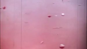 Фитиль №123-193