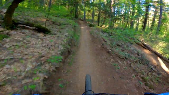 - [ Hoot Trail / Dascomb / Pioneer ] Nevada City, CA - #mtb смотреть онлайн