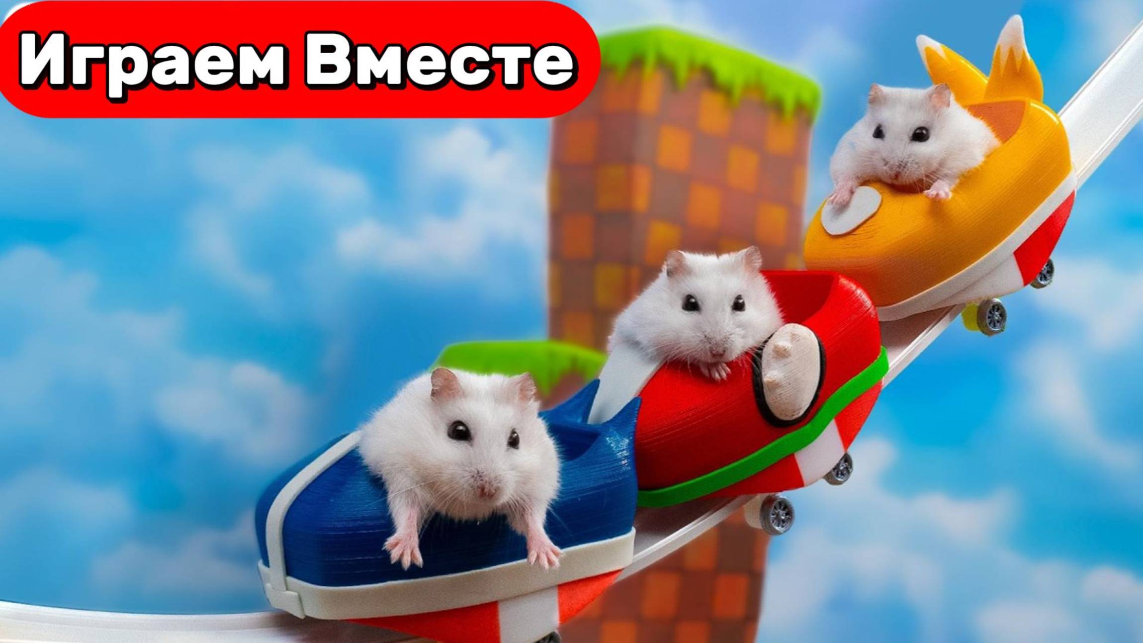 Умный Хомяк на скоростных горках ! Безумные трюки хомяка 🐹 Видео для детей