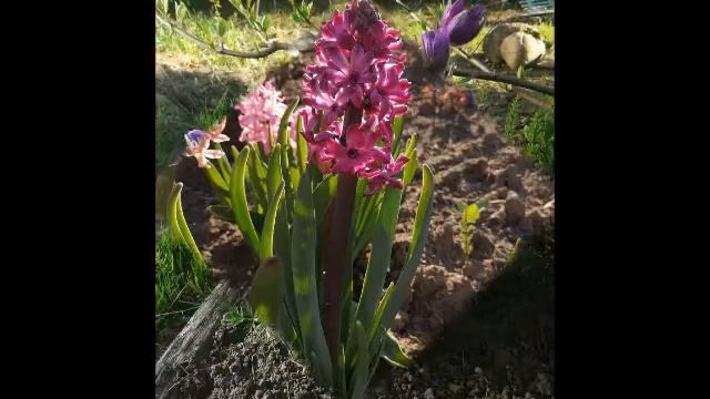 Уже совсем скоро...... смотреть онлайн