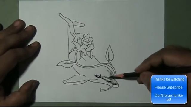 How to Draw a Dolphin Carrying a beautiful rose flower | YZArts | YZArts смотреть онлайн