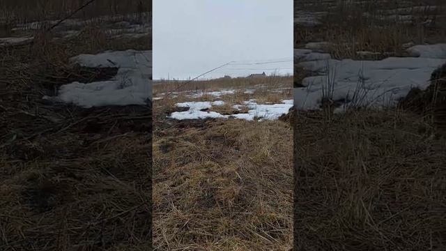 Начало весеннего пролета. Первые полевнки. смотреть онлайн