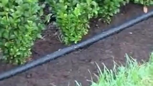 Českázahrada.cz - průsakový zavlažovač GARDENA смотреть онлайн