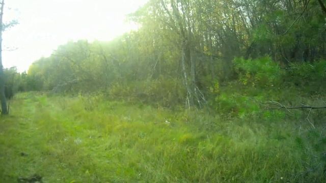 Охота в пойме таежной речки. В трех частях. День первый. (перезалив) смотреть онлайн
