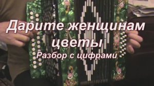 Дарите женщинам цветы. (062 гармонь с цифрами)