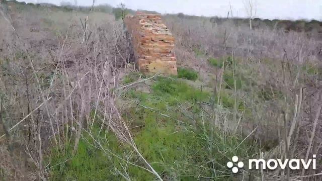 ВИГРАВ ЗЕМЛЮ на аукціоні.Розгрібаєм сміття. смотреть онлайн