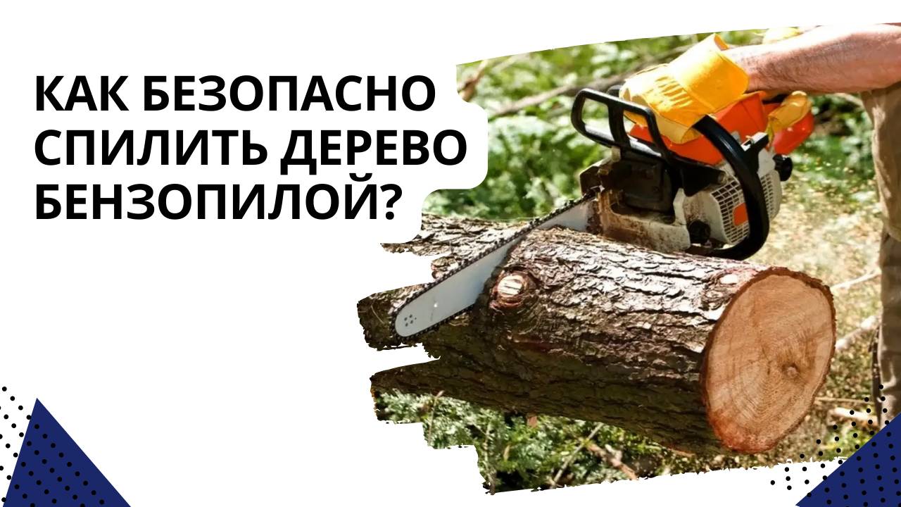 Как безопасно спилить дерево бензопилой