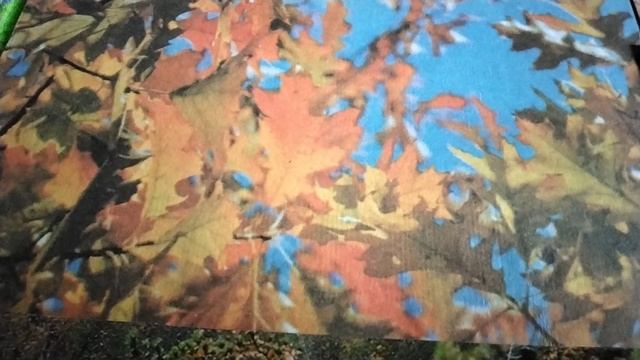 М. Исаковский :"Попрощаться с тёплым летом"...( звук☝️) 28 августа 2023 г. смотреть онлайн