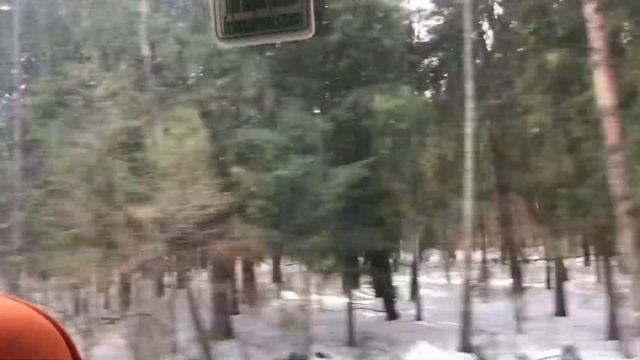 Влог/еду к коровкам🐄🐮 смотреть онлайн