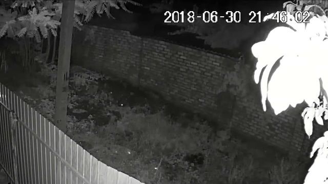 Личное: Молния в соседний столб 30/06/2018 смотреть онлайн
