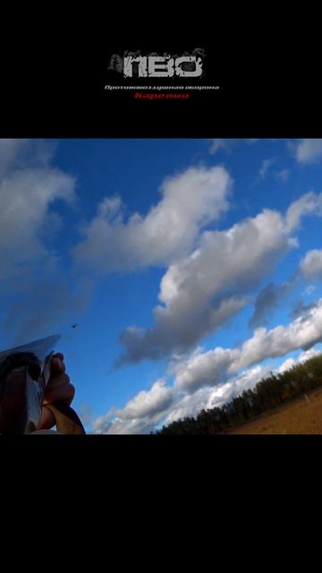 ОХОТА НА ГУСЕЙ!!! ТРИ ГУСЯ ДУПЛЕТОМ #охотанагуся #hunting #shorts смотреть онлайн