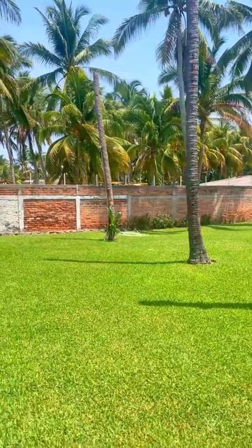 SE VENDE RANCHO DE PLAYA EN $390 MIL #bienesraices #realestate #elsalvador #ventadecasa #inversion смотреть онлайн