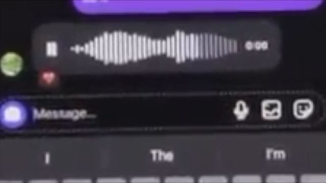 Leaked Messages Between Foodie Beauty And Salah Al Refae (AlSultan Salah) 💩😆