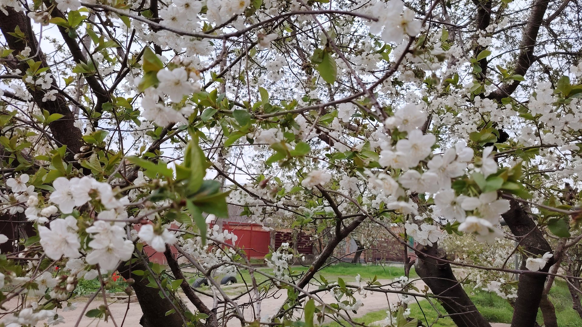 Ейск ! Как можно ошибаться и приёмом осталась ОЧЕНЬ давольна ! Архивное видео весна 2020 года ! смотреть онлайн