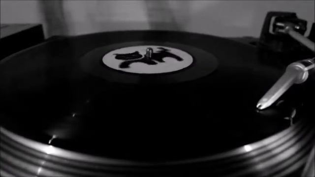 Les Shelleys - Pastures Of Plenty [Les Shelleys] смотреть онлайн