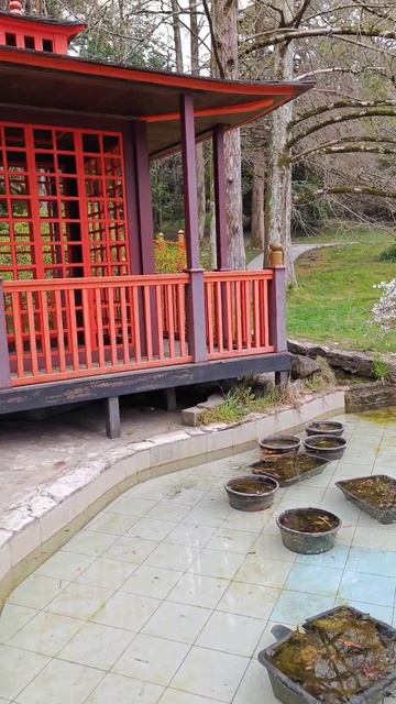 японский сад в дендрарии сочи #дендрарий #сочи смотреть онлайн