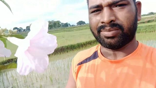 Mera daily vlog kob areh ll New hair cut 💇♂️ ll Dailyvlog смотреть онлайн