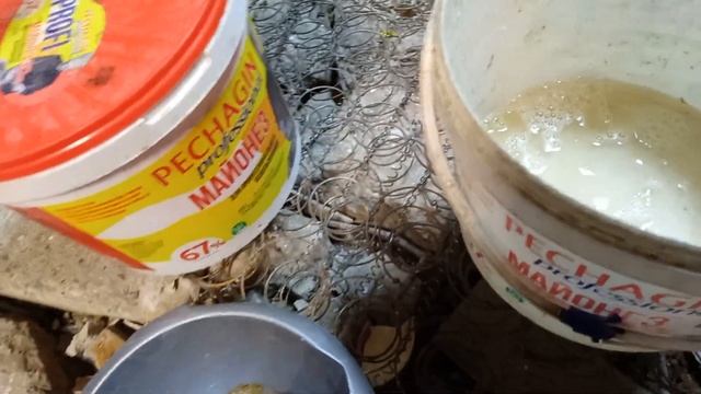 Сухой засол плотвы и что происходит с берёзовым напитком. смотреть онлайн