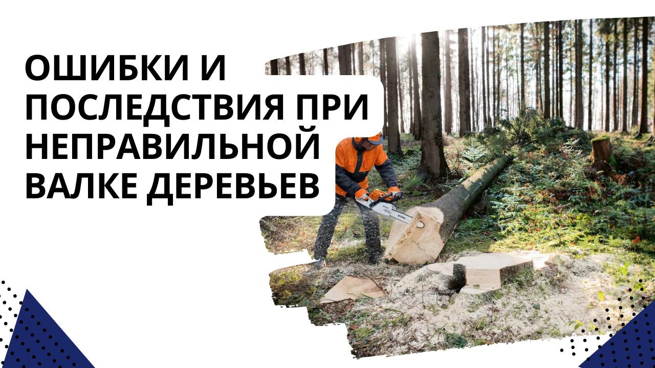 Ошибки и последствия при неправильной валке деревьев